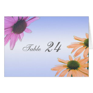 carte de table, fleurs marguerites.