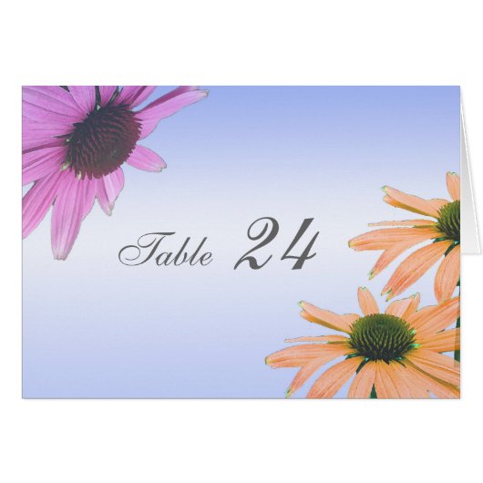 carte de table, fleurs marguerites. (Devant Horizontal)