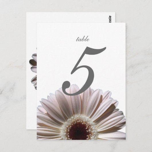 Carte de table Gerbera Daisy/Mariage (Devant / Derrière)