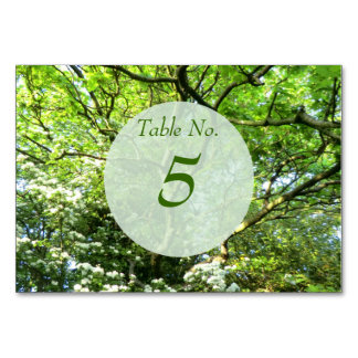Carte de table Hawthorn & Oak Handfasting