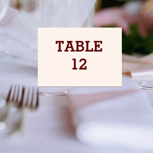 Carte de table pliée pour mariée et chambre person