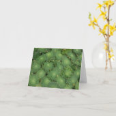 Carte de tabuliforme d'Aeonium (Fleur jaune)