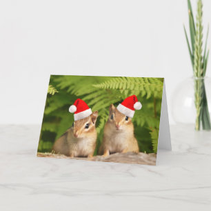 Carte de tamia de bébé de Père Noël