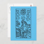 Carte de tarot : Les étoiles (Devant / Derrière)