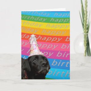 Carte de texte d'anniversaire joyeux couleur chien