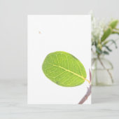 Carte de texture verte riche en feuille de figue s (Debout devant)