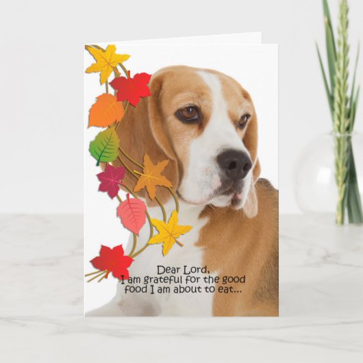 Carte de Thanksgiving Beagle drôle (Devant)