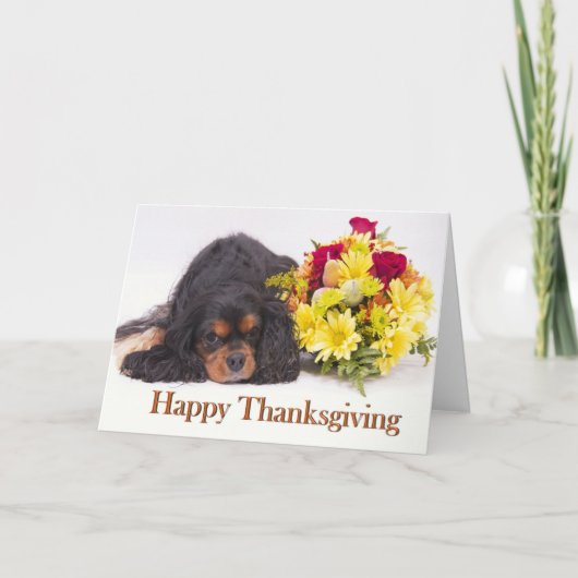 Carte de Thanksgiving Cavalier King Charles Spanie (Devant)