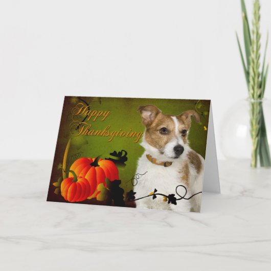 Carte de thanksgiving de Jack Russell Terrier (Devant)