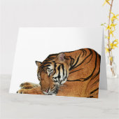 Carte de tigre de repos (Fleur jaune)