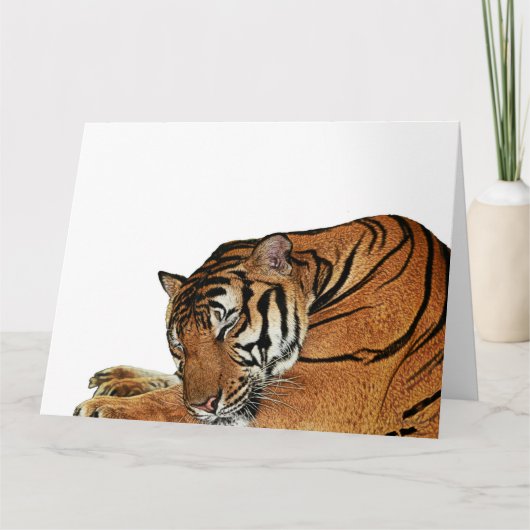 Carte de tigre de repos (Devant)