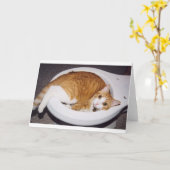 Carte de toilette Chat (Fleur jaune)