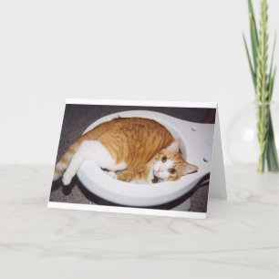 Carte de toilette Chat
