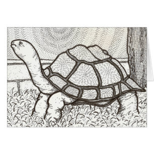 Carte de tortue