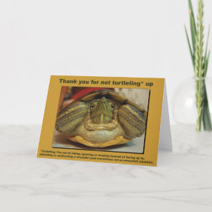Carte de tortue