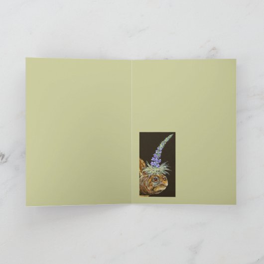 carte de tortue (Intérieur)