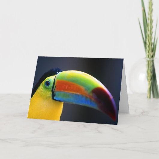 Carte de Toucan-Salutation (Devant)