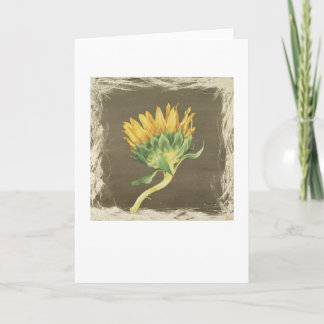 Carte de tournesol