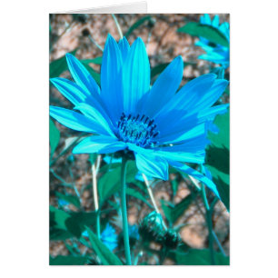 Carte de tournesol bleu sauvage *personnaliser*