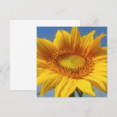 Carte de tournesol jaune (Devant / Derrière)
