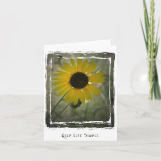 Carte de tournesol KeepLifeSimple