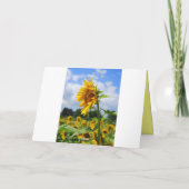 Carte de tournesol pour l'anniversaire de naissanc (Dos)