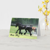 Carte de trot de poney de vallées (Fleur jaune)