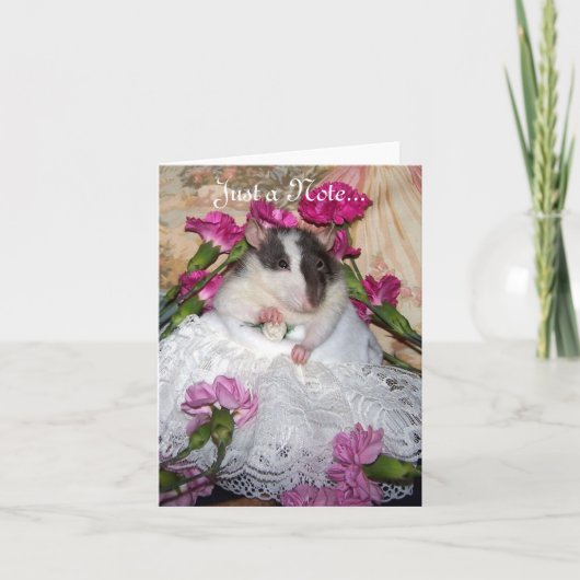 Carte de Trudy (Devant)