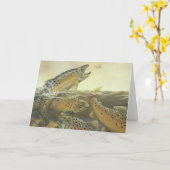 Carte de truite Brown (Fleur jaune)