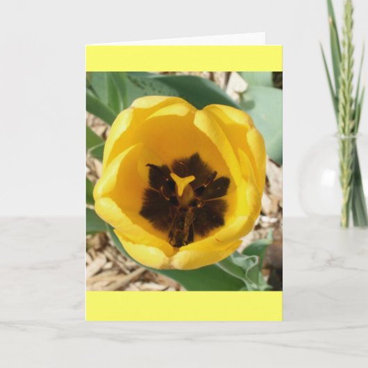 Carte de tulipe de fourmi (Devant)