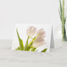 Carte de tulipes blanches toutes occasions