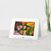 Carte de tulipes de ressort (Dos)