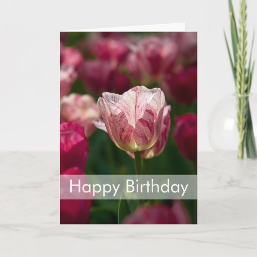 Carte de Tulips | Carte d'anniversaire (Devant)