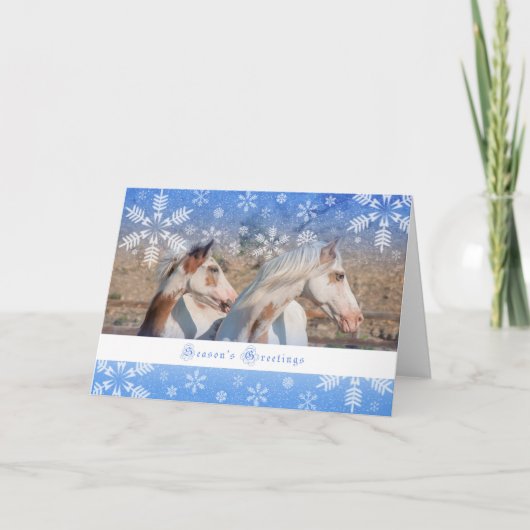 Carte de vacances 5x7 - Poulinière et poulain choc (Devant)