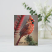 Carte de vacances à plat (Debout devant)