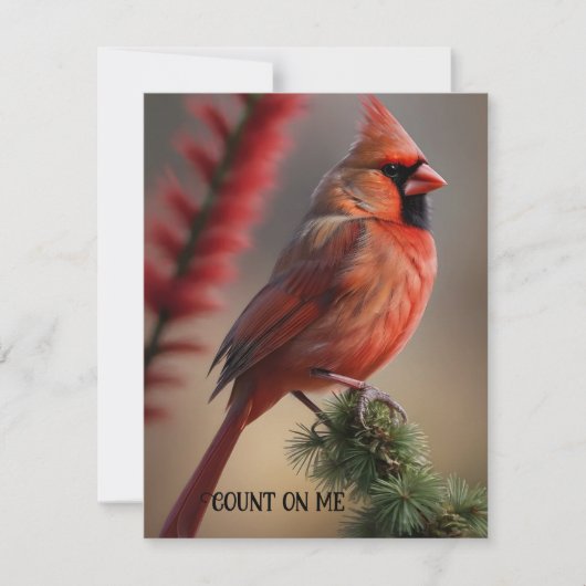 Carte de vacances à plat (Devant)