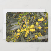 Carte de vacances Acacia Flat (Devant)