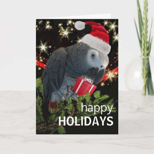Carte de vacances African Grey Parrot (Devant)