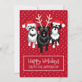 Carte de vacances Appartement Schnauzers (Devant)