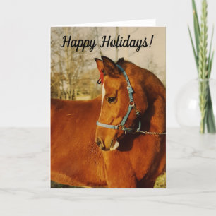 Carte de vacances Arabian Horse