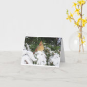 Carte de vacances avec Cardinal (Fleur jaune)