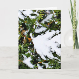 Carte de vacances avec de la neige sur les branche