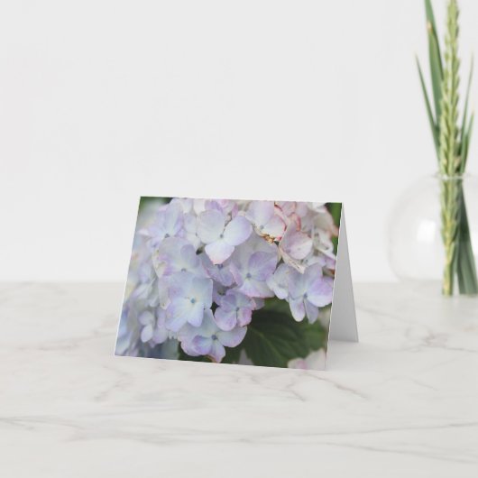 Carte de vacances avec hydrangea blanche et violet (Devant)