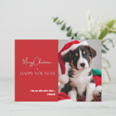 Carte de vacances avec photo de chien mignon (Debout devant)