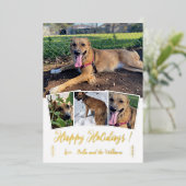 Carte de vacances blanche et feuille d'or en colla (Debout devant)