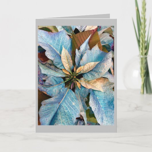 Carte de vacances Blue Pointsettia (Devant)