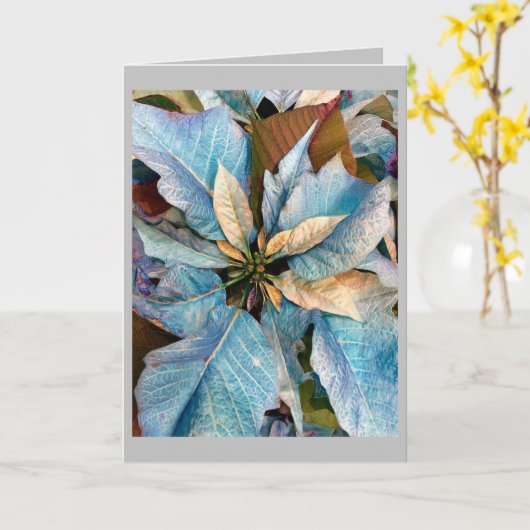 Carte de vacances Blue Pointsettia (Fleur jaune)