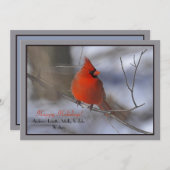 Carte de vacances Cardinal Rouge (Devant / Derrière)