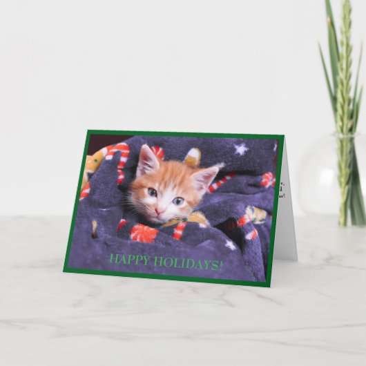 Carte de vacances Chat Châle Gris Chaton Orange (Devant)