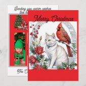 Carte de vacances Chat de Noël à Flat (Devant / Derrière)